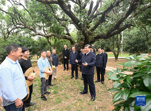 PG电子(中国)官方网站